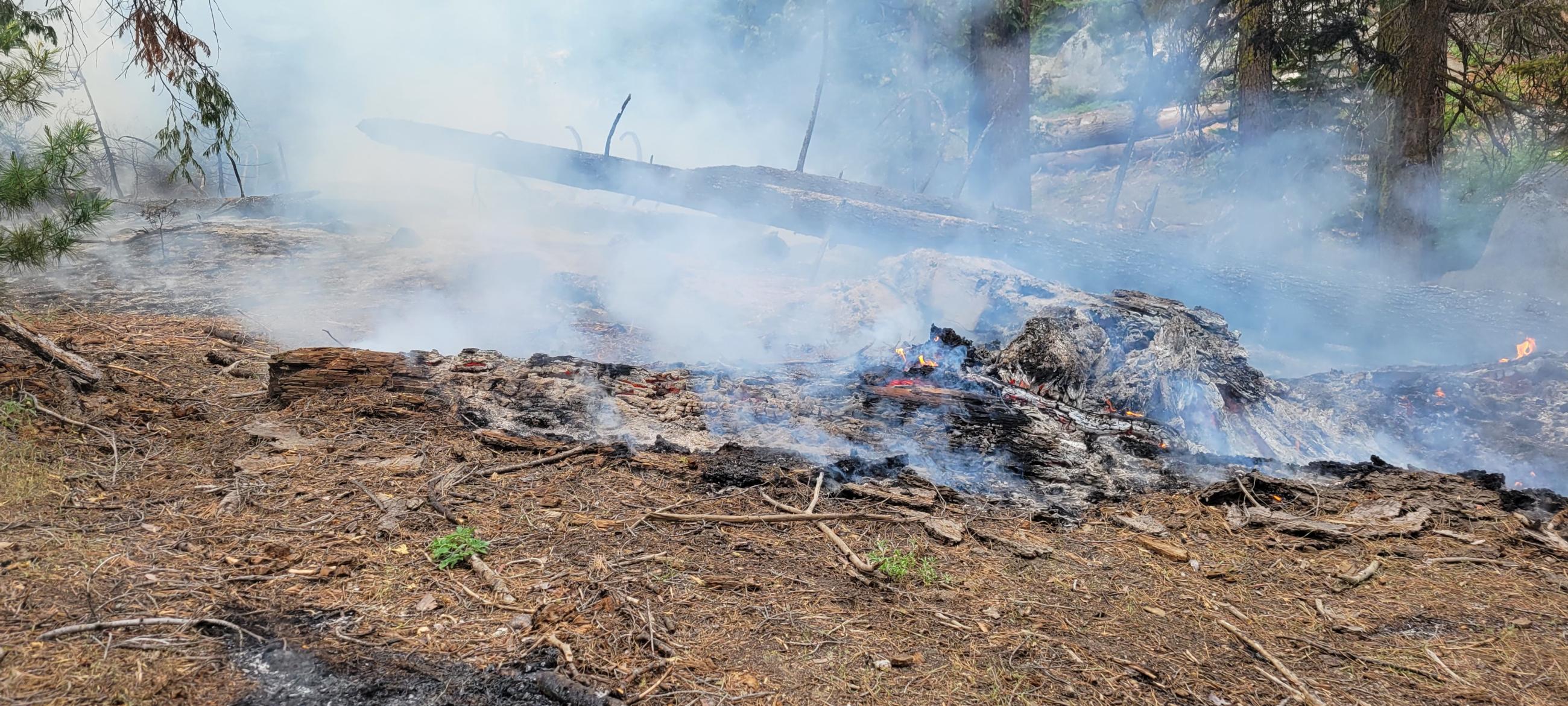 Photo of fuels being consumes, smoke in the background.