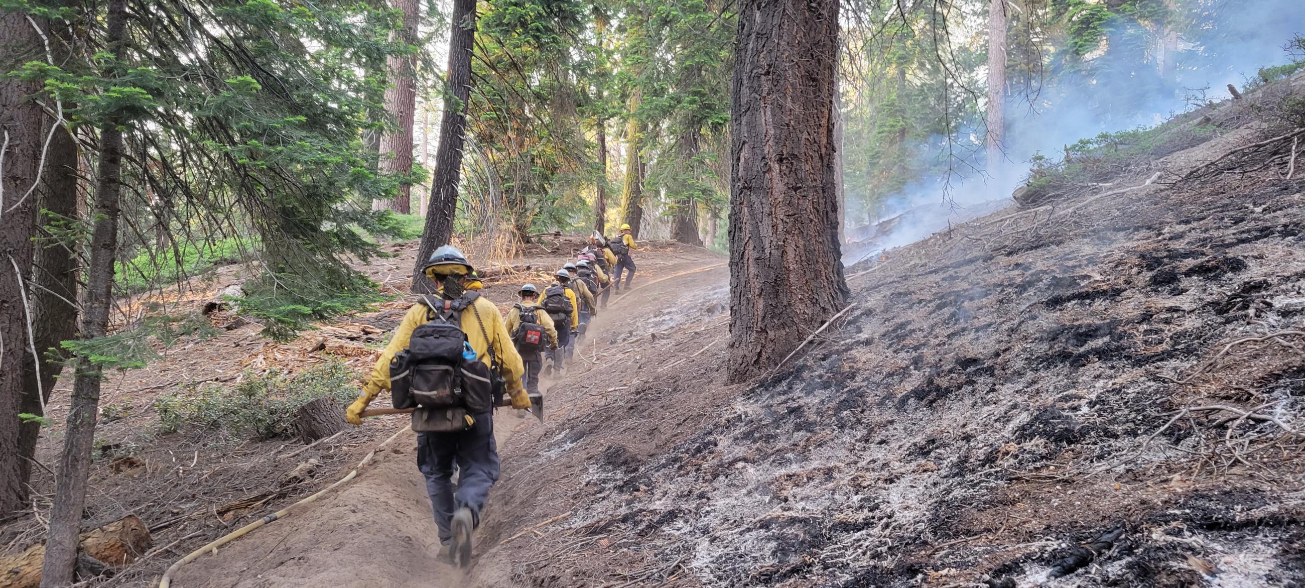 Photo of a forest with fire and smoke. There is a fighter with a tool walking the handline. 