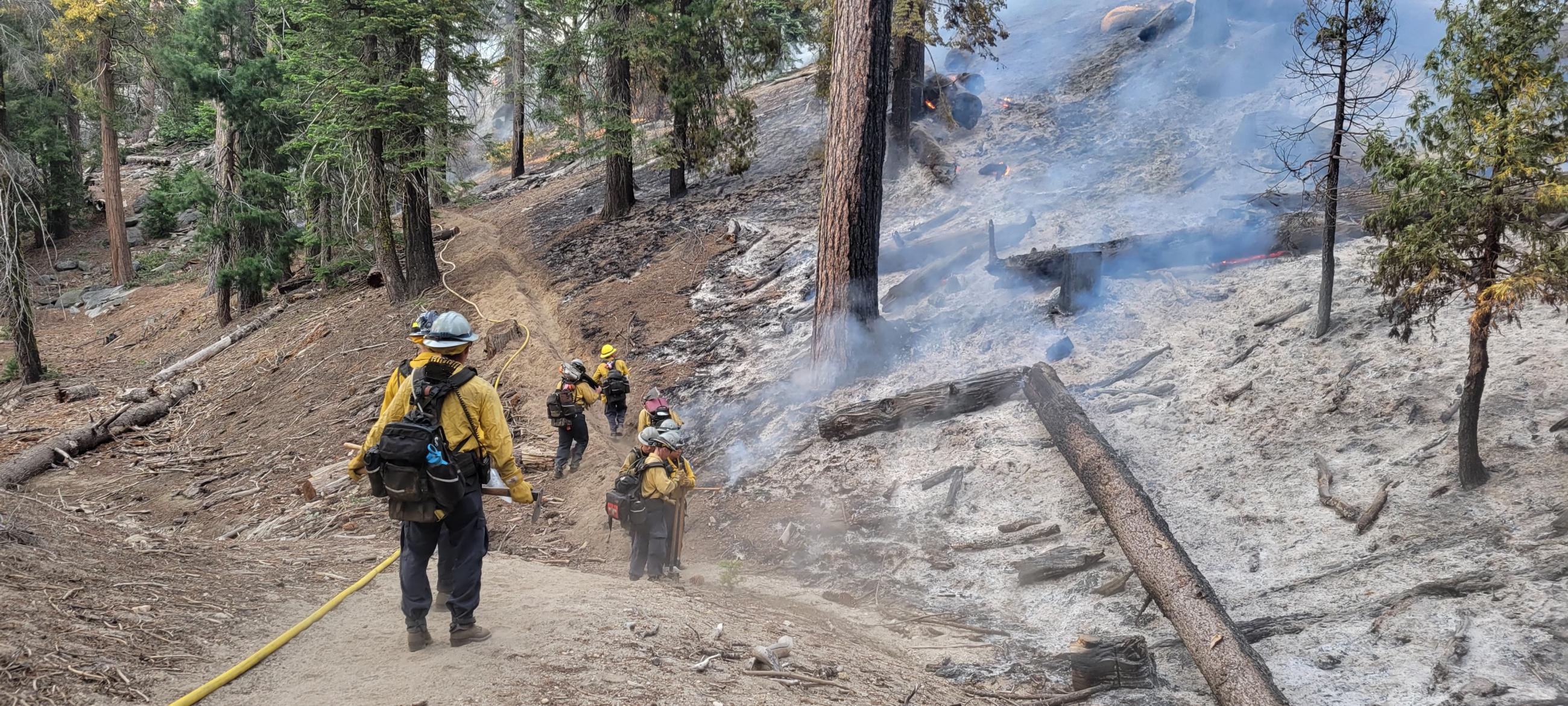 Photo of a forest with smoke and fighters with a tool walking the handline. 