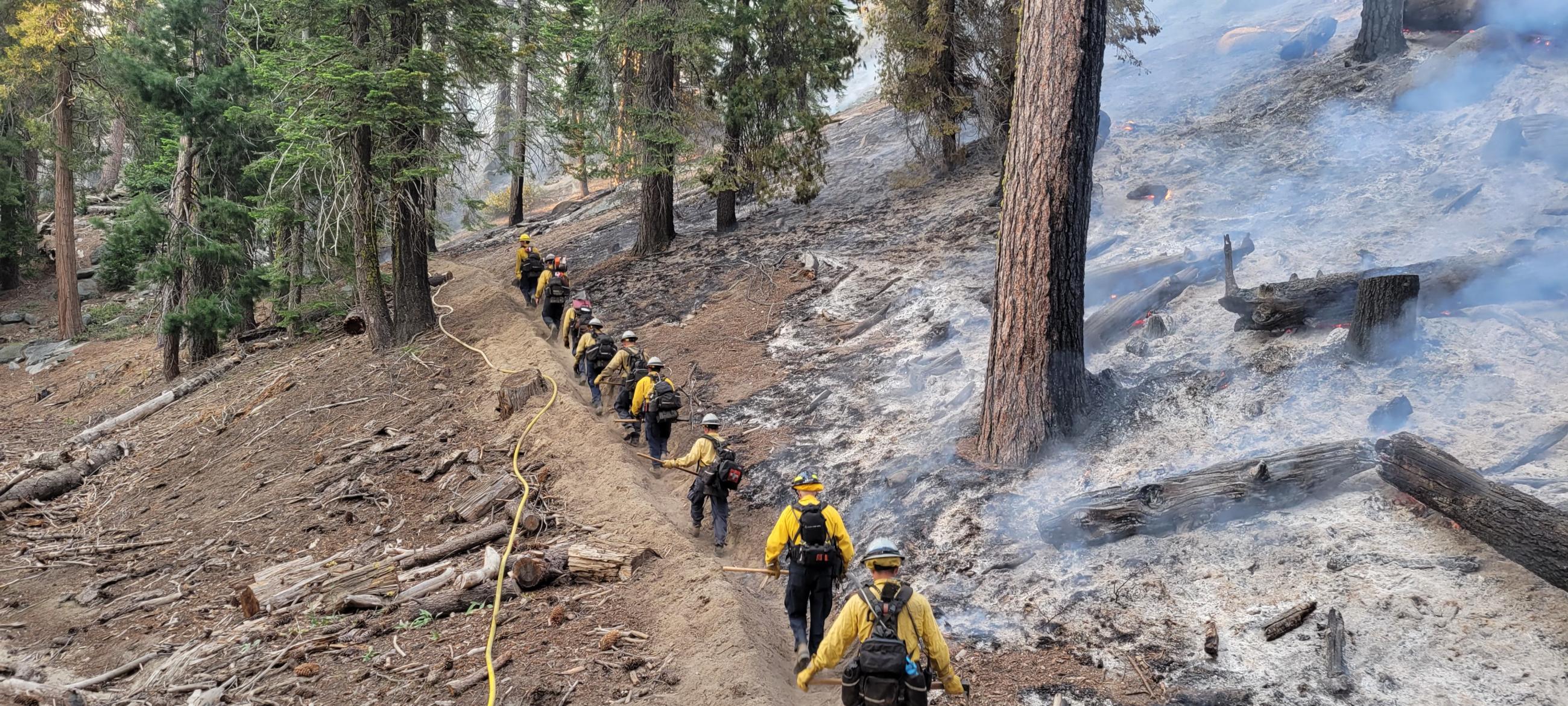Photo of a forest with smoke and fighters with a tool walking the handline. 