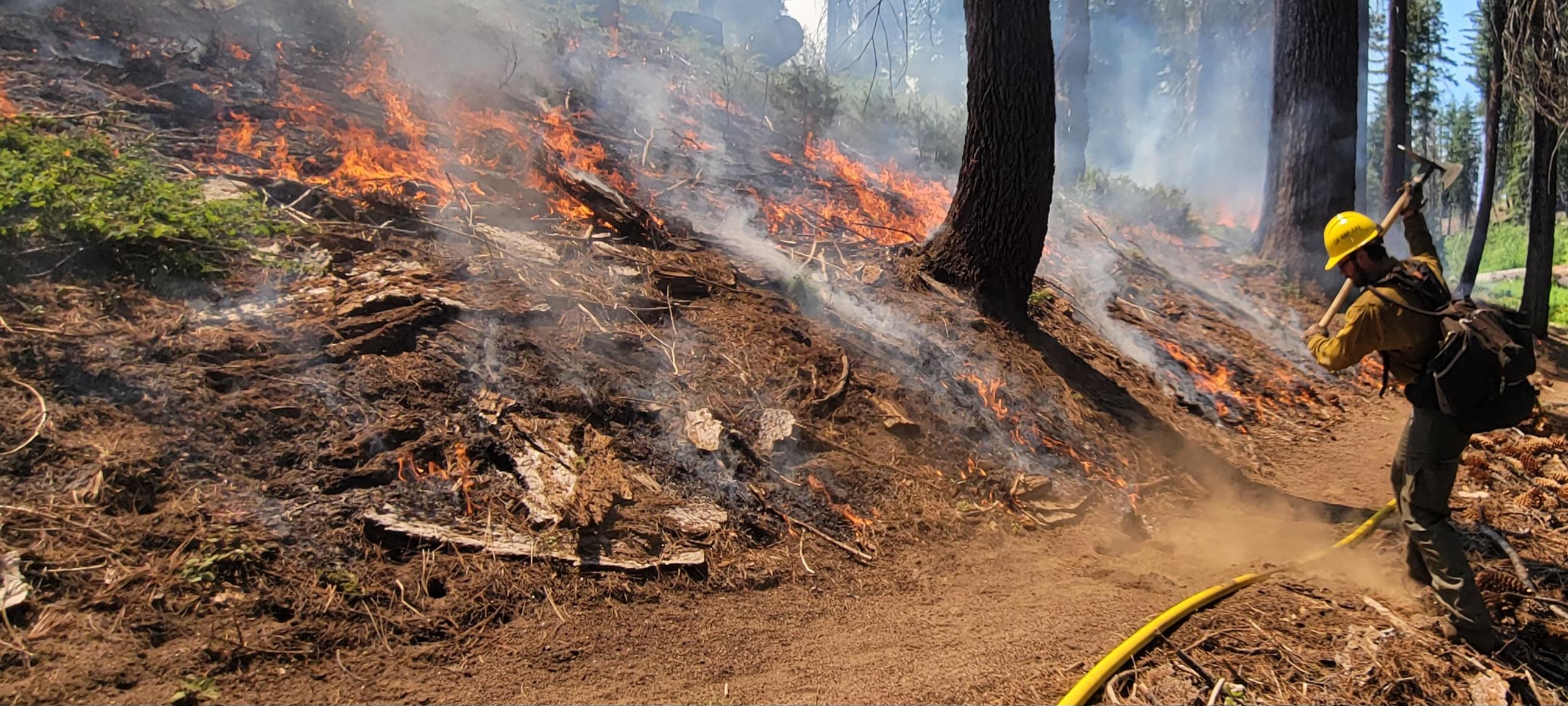 Photo of a forest with fire and smoke. There is a firefighter with a tool working on the hand line.