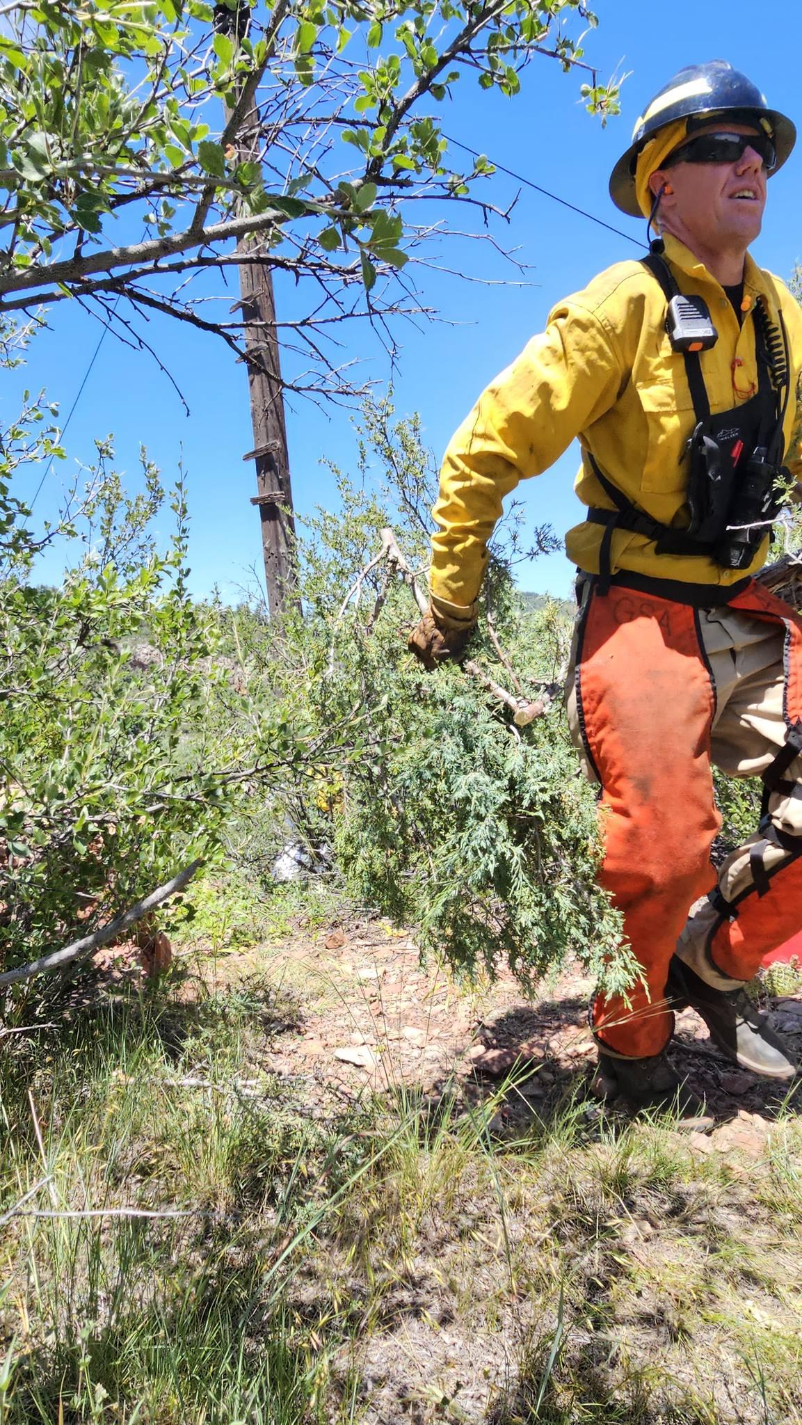 A firefighter in full protective clothing, including chainsaw chaps, pulls brush that has been cut. This part of vegetation management is used to help protect structures. 