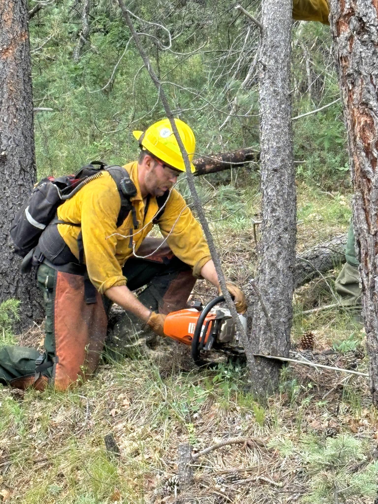 A firefighter in full protective gear, including orange chainsaw chaps, cuts a tree near one of the contingency lines on the Oak Ridge Fire. 