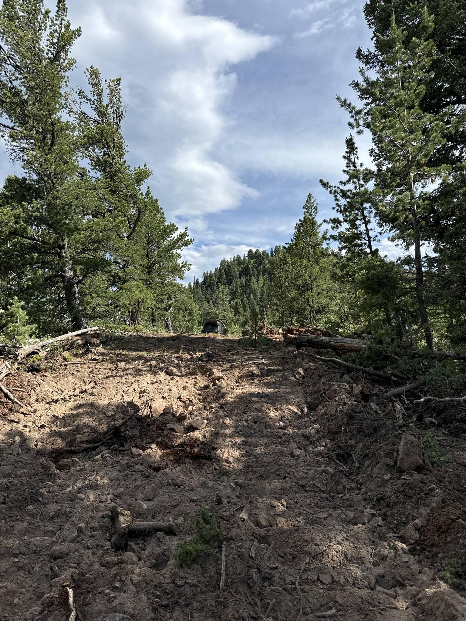 A bulldozer has cleared a path in the forest. Either side of the brown dirt dozer line is lined with tall green pine trees. The sky is filled with fluffy clouds.