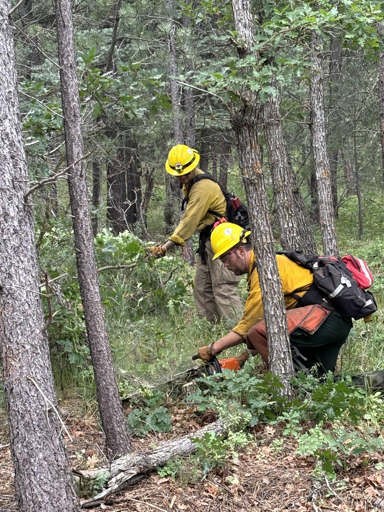 Two firefighters are in full protective clothing, working near the fire. One is cutting a tree and another behind him is pulling brush. 