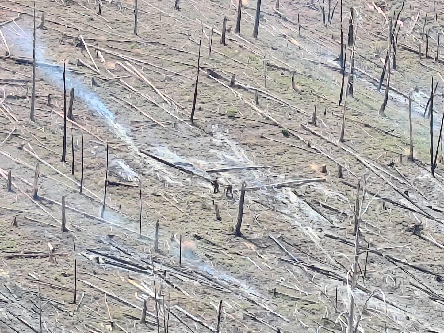 View from the ridge of Firefighters searching for hotspots inside the fire perimeter of the BLue 2 Fire