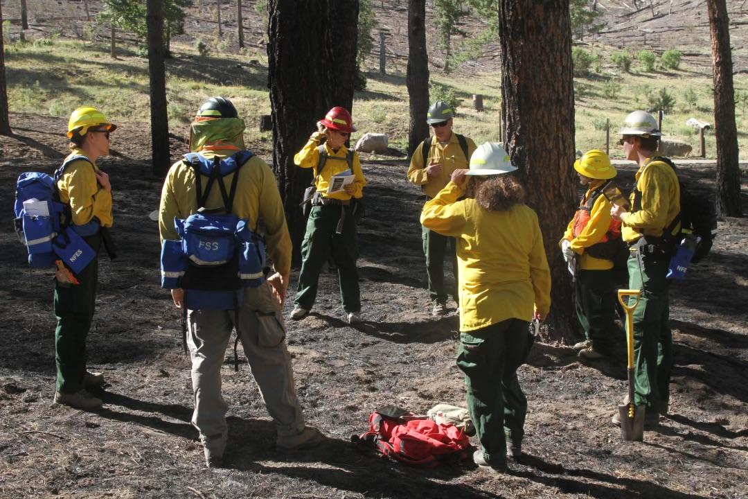 BAER Team begins soil burn severity assessment June 6, 2024