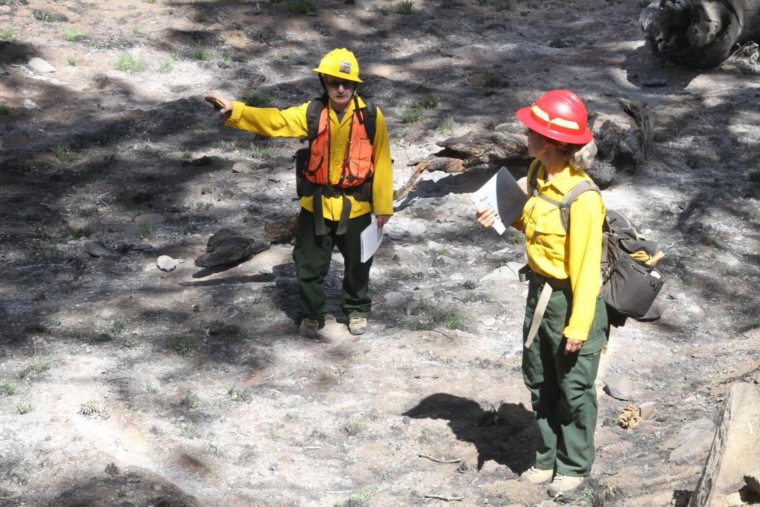 BAER team members discuss soil burn severity on the Blue 2 Fire June 7, 2024