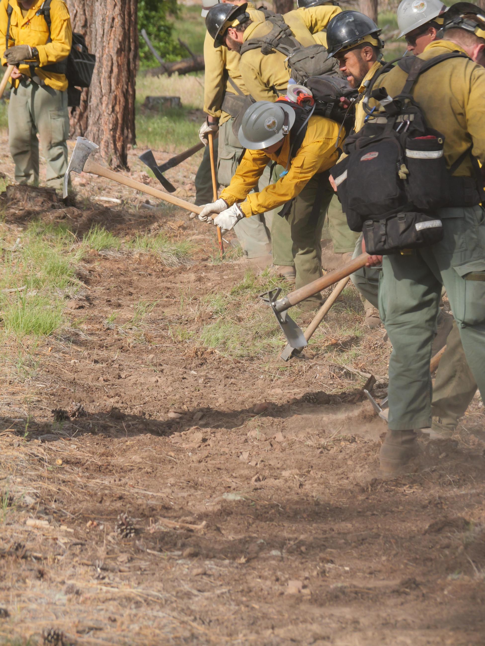 Fire personnel use hand tools to scratch away vegetation and create a fire line