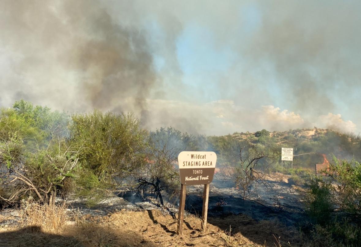 View of fire activity from Wildcat Staging Area