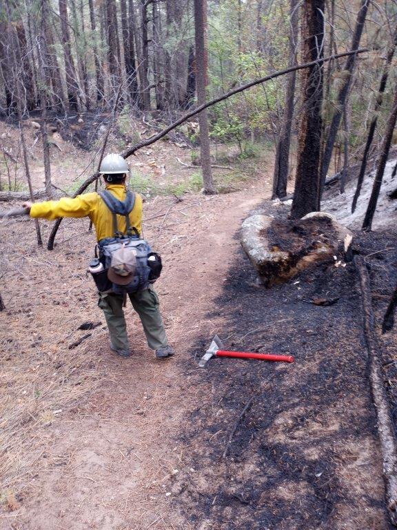A wildland firefighters standing on the CDT trail points to his left. Firefighters are mitigating hazards and risks along the trail.