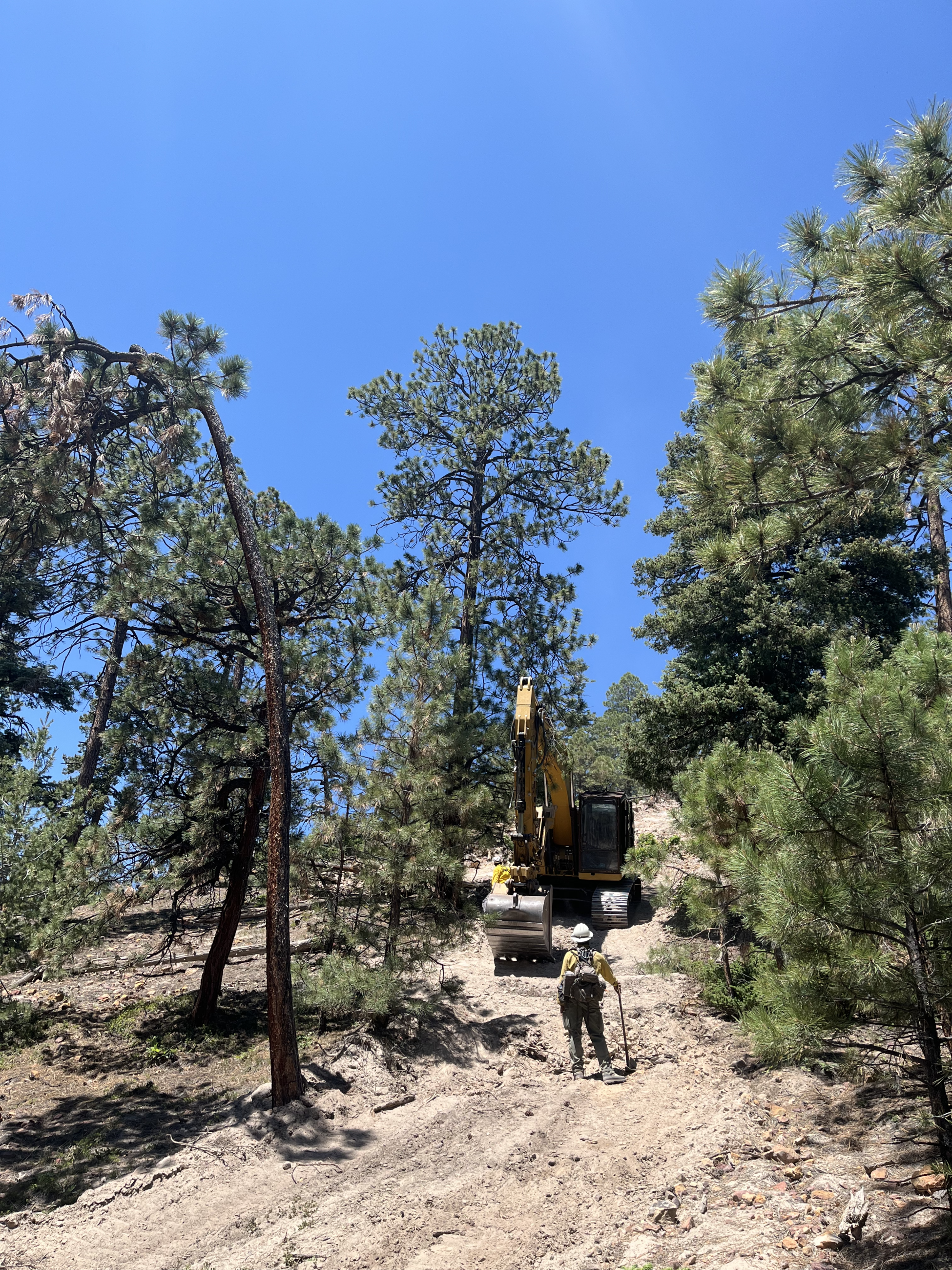 A wildland firefighter wearing a yellow shirt, green pants, and a white hard hat stands on a fireline in front of an excavator.