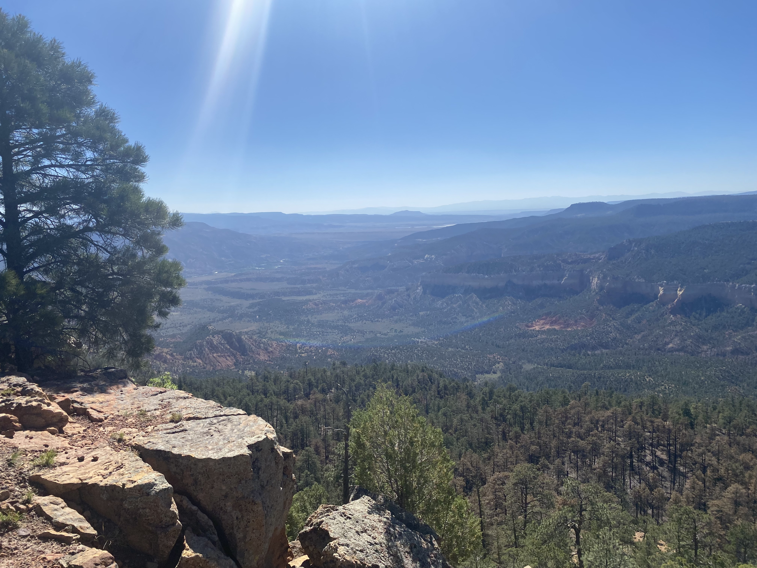 A landscape view of the Indios Fire, looking out from a rock outcrop over the forest.
