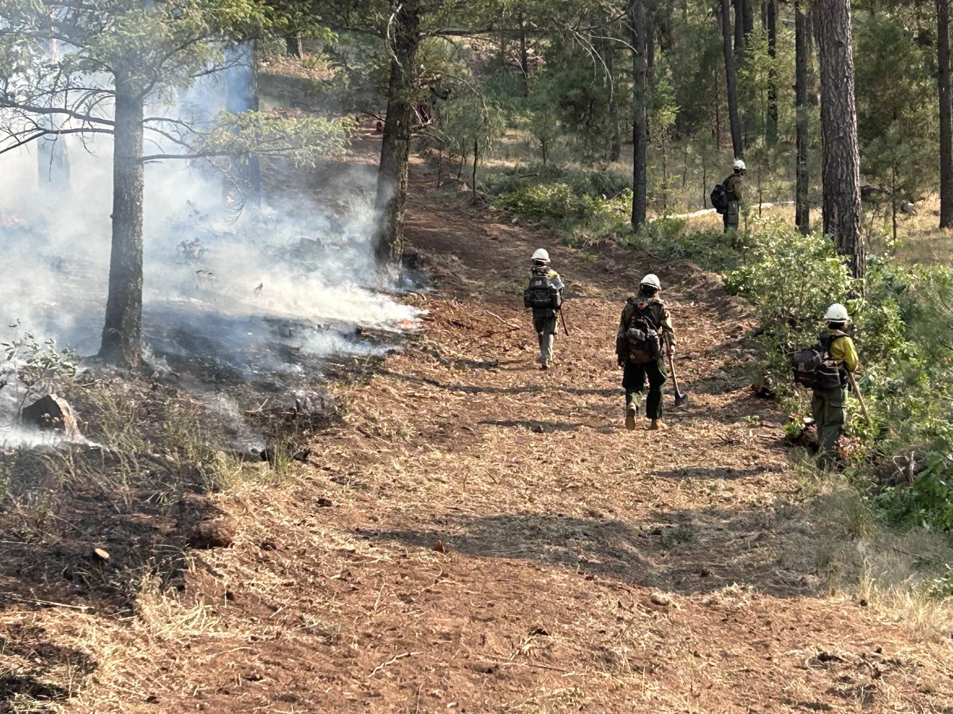 Salt Fire - Entiat IHC June 18, 2024