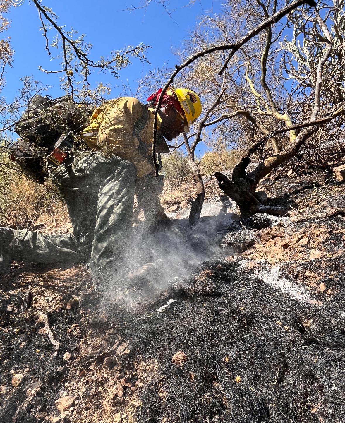 A Superstition crew member cold trailing the Simmons Fire near Kearny 