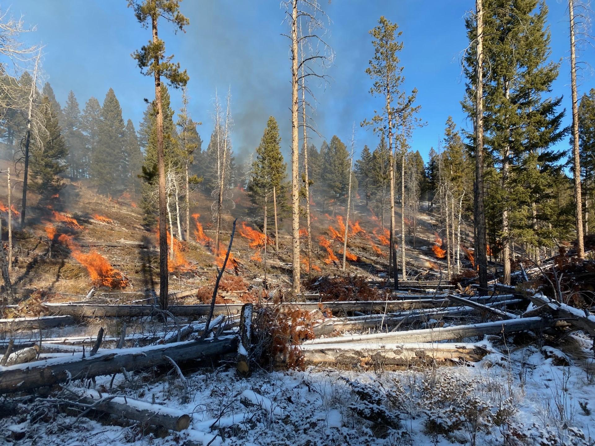 Piles burn on hillside while snow is still present on the ground