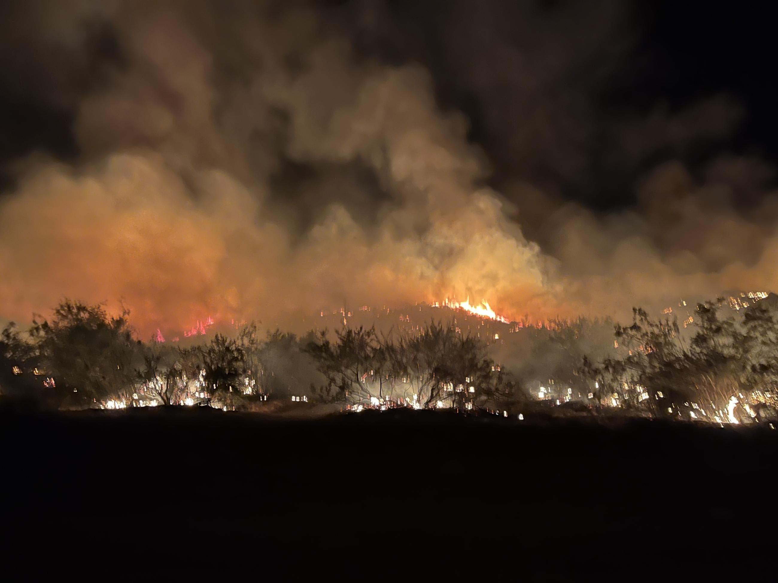 Evening fire operations on north side of Adams Fire