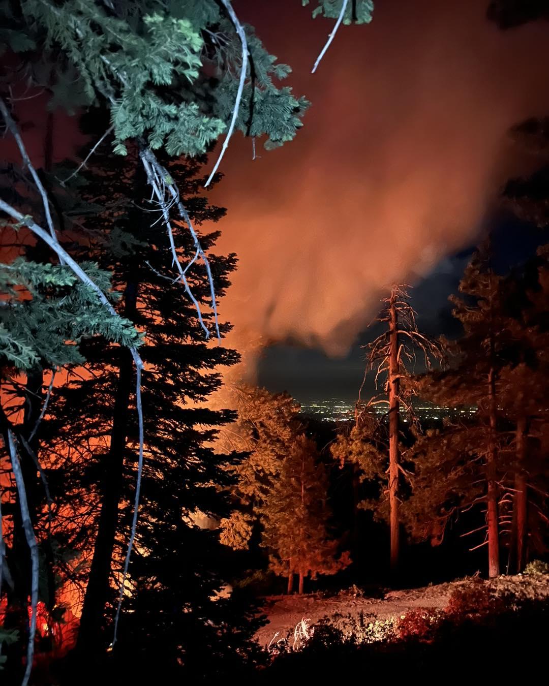Photo shows fire on the ground in a forest with trees. Smoke is also present.