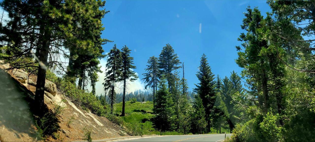 Roadside and a side of a mountain with rocks and trees with smoke visible.