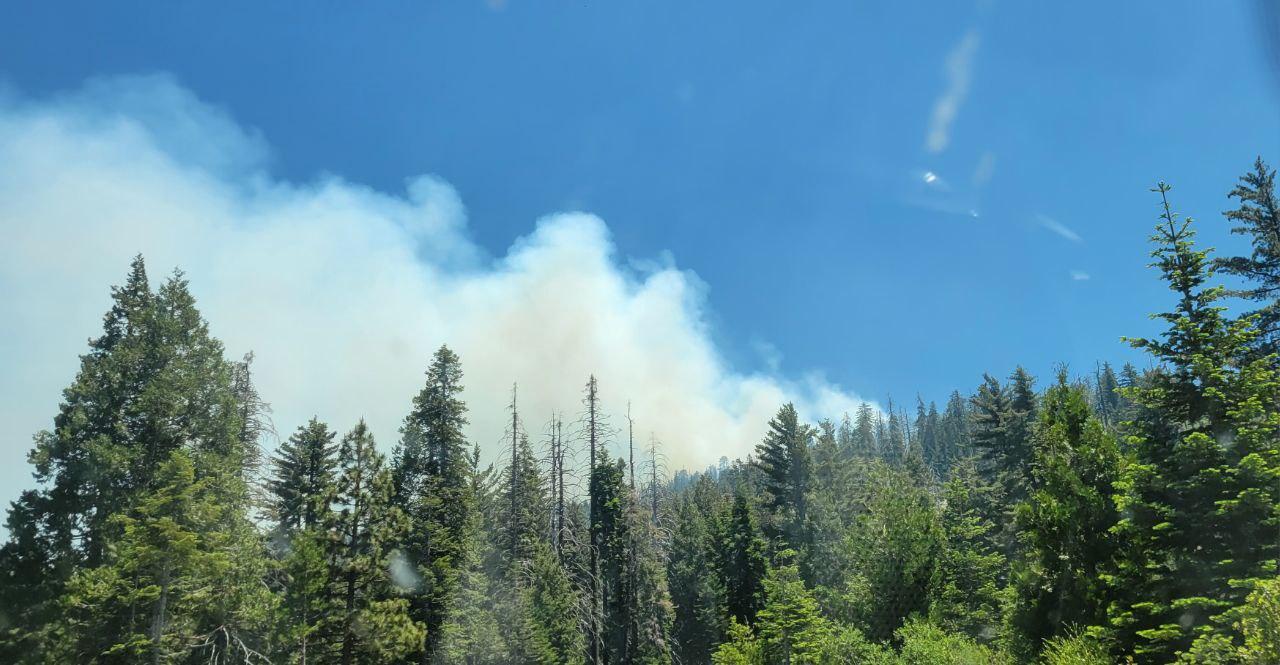 Side of a mountain with trees with smoke visible.