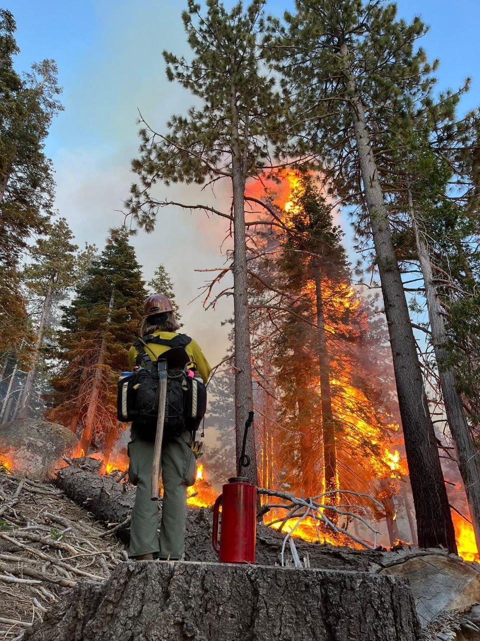 Photo of a forest with fire and smoke. There is a fighter standing in the forefront monitoring the burn