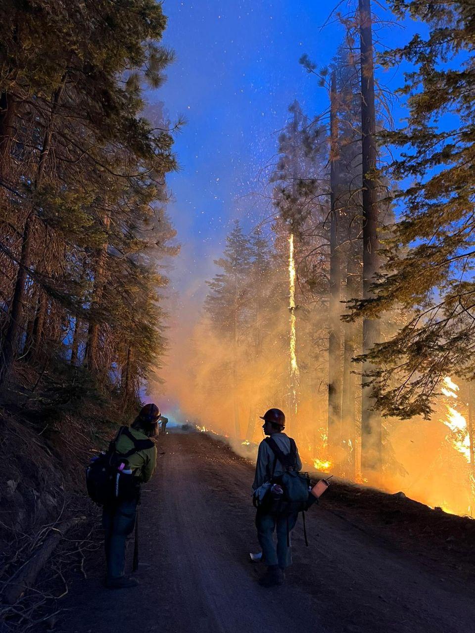 Photo of a forest with fire and smoke. There are two firefighters monitoring the burn.