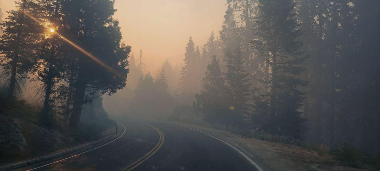 Photo of a forest with smoke and the sunrise.