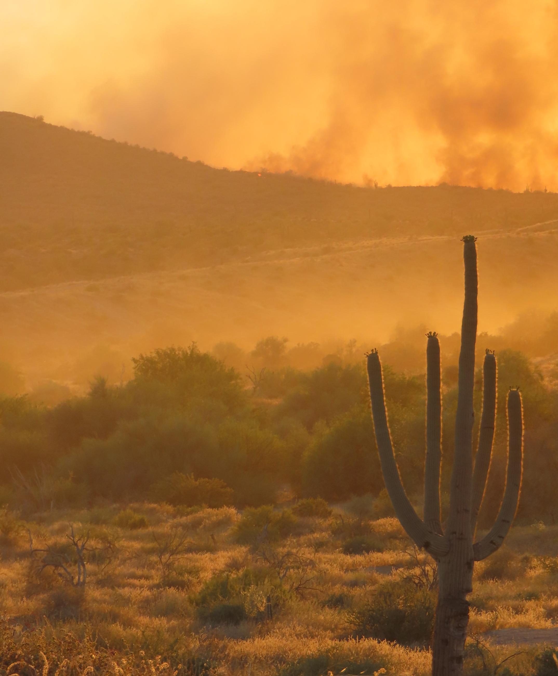 Sunset smoke in the Sonoran Desert