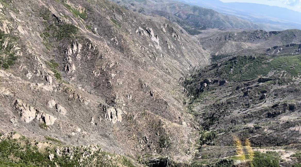 Burn in South Fork of Bonito Creek from BAER recon flight June 5, 2024