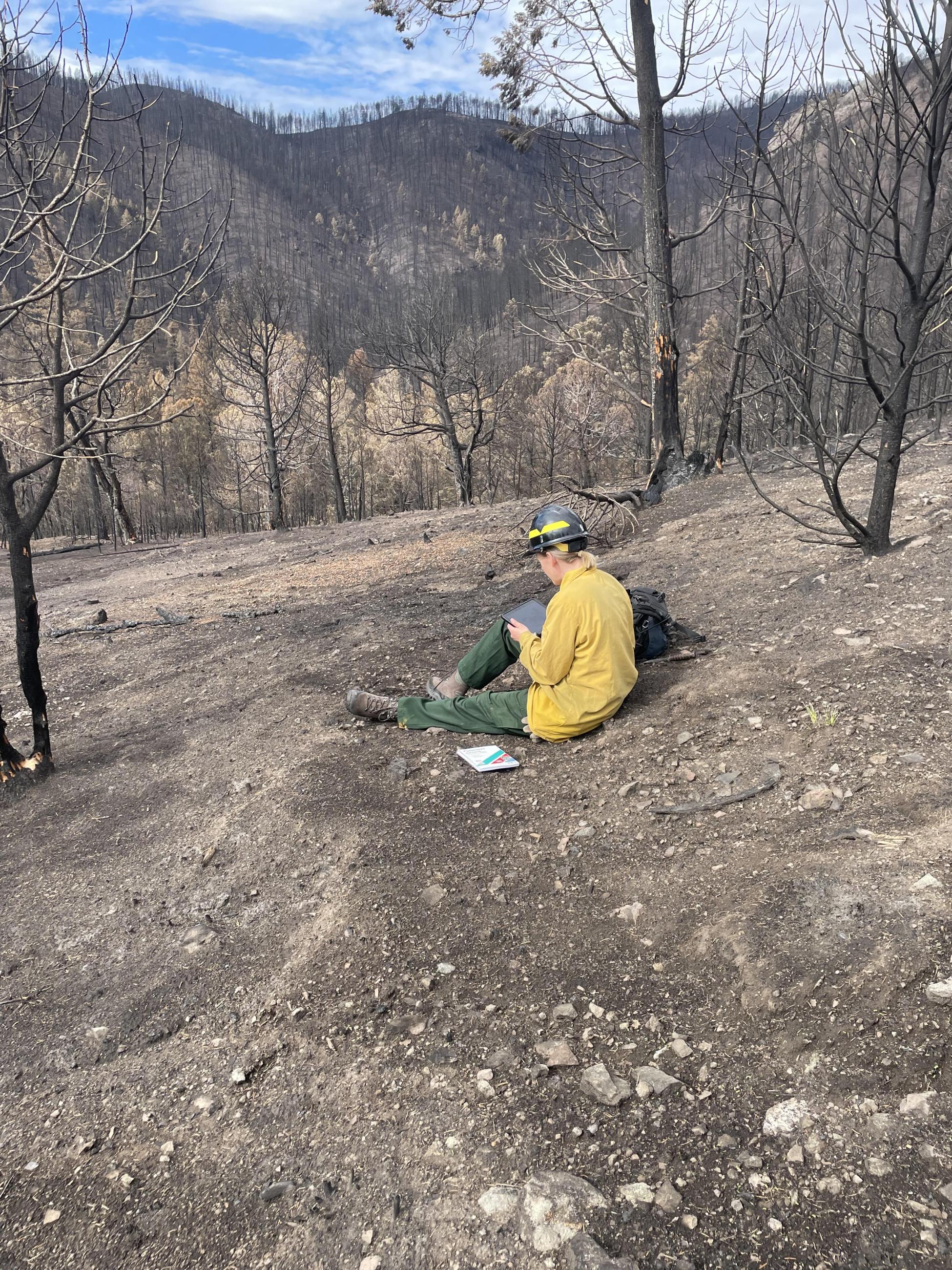 Image showing BAER Soil Scientist recording field notes for soil burn severity in the South Fork burned area