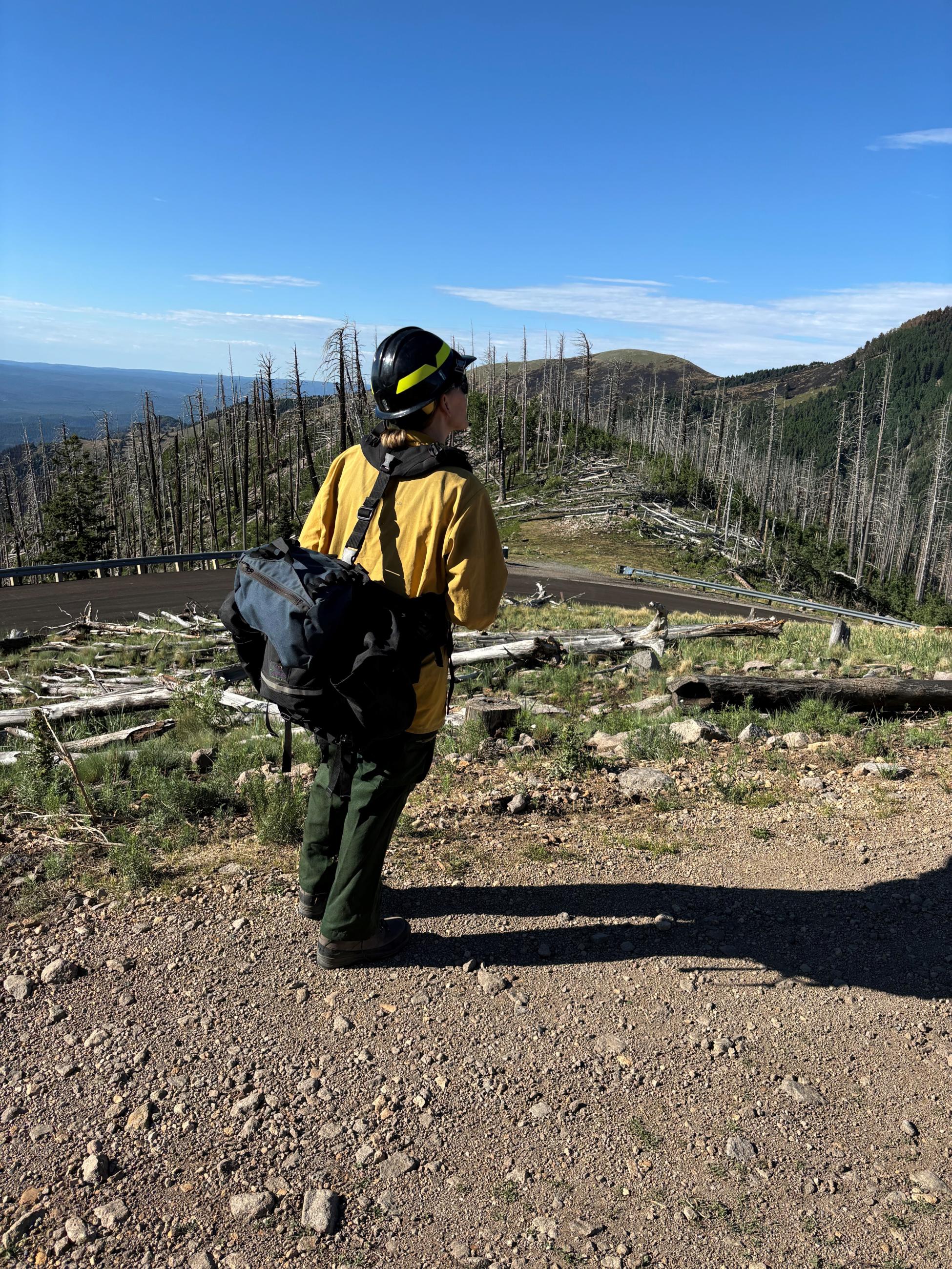 Image showing BAER Soil Scientist viewing soil burn severity conditions from vantage point in the South Fork burned area
