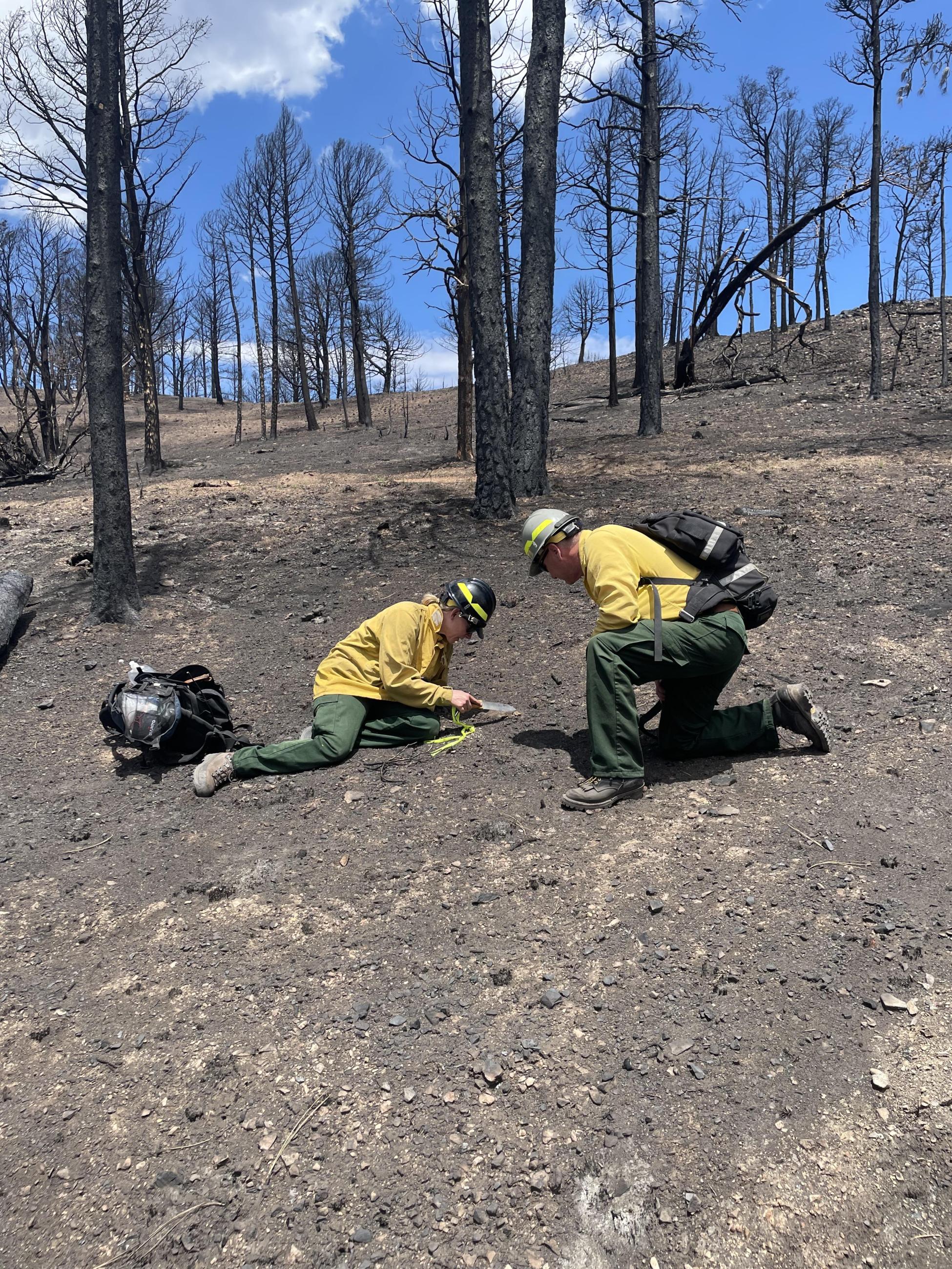 Image showing Burned Area Emergency Response Soil Scientists evaluating soil burn severity in the South Fork Burned Area