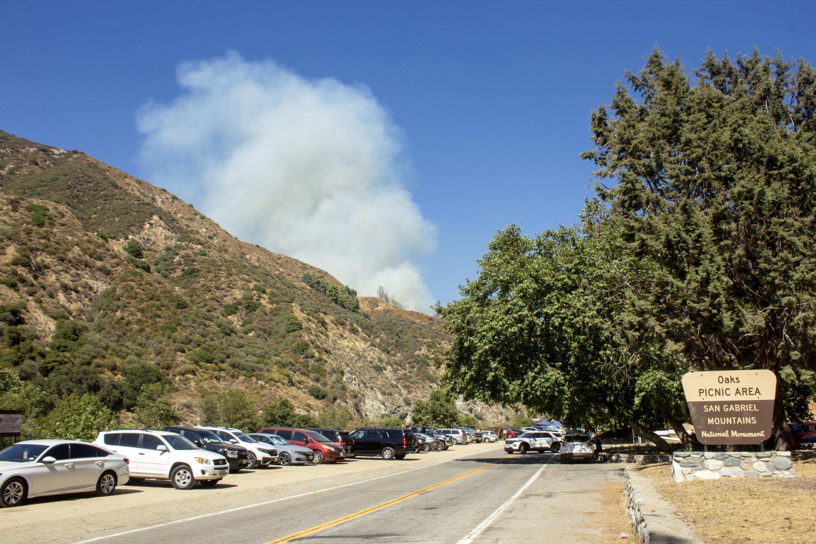 A roadway with a row of parked cars on the left and a Forest Service sign on the right. In a distance a plume of smoke from a wildfire can be seen,