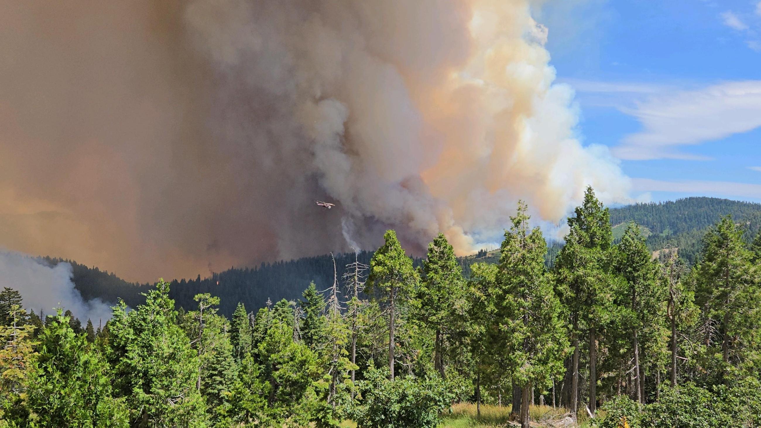 Smoke from hill fire above forest