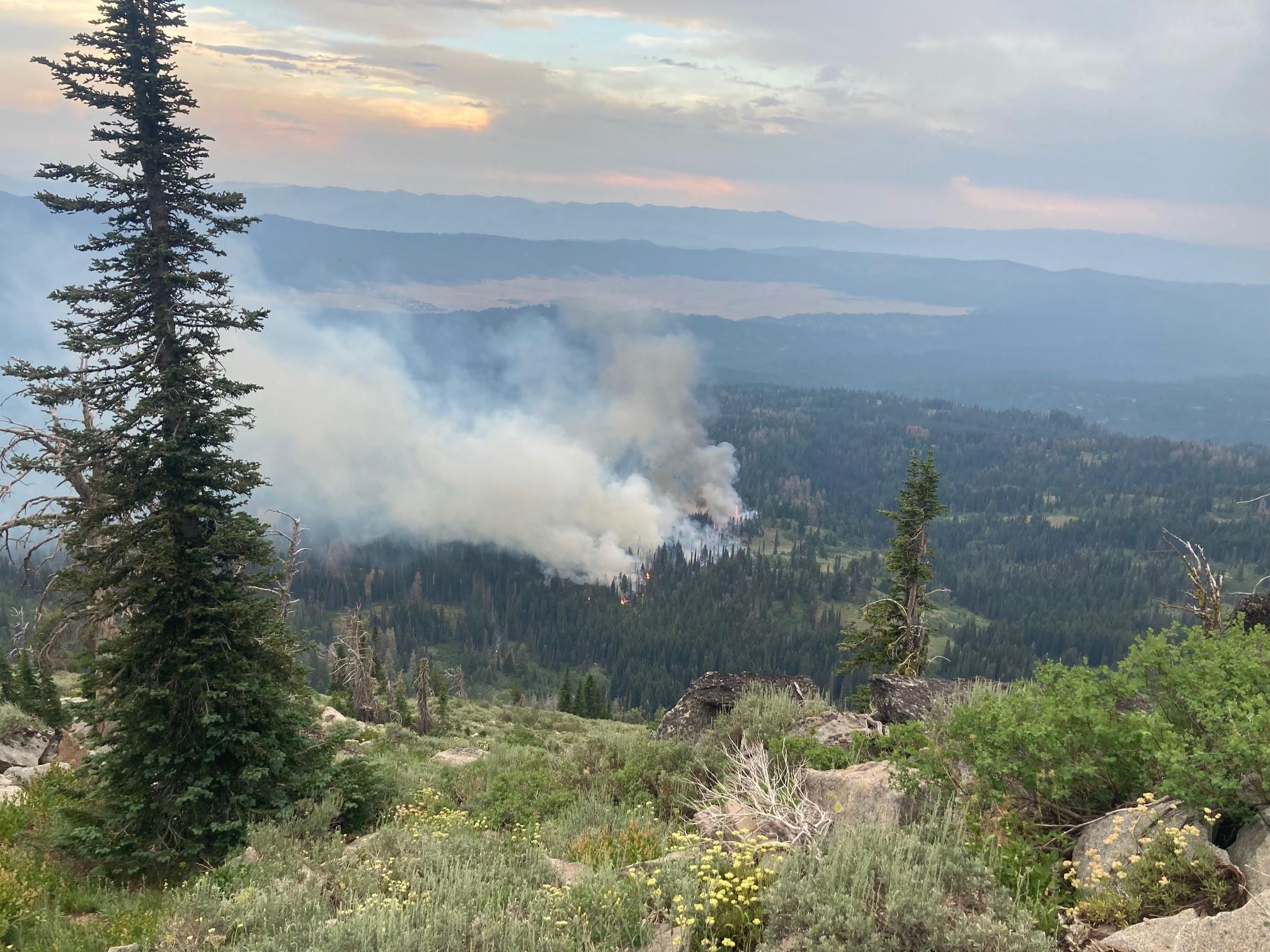 View of fire on the evening of July 25