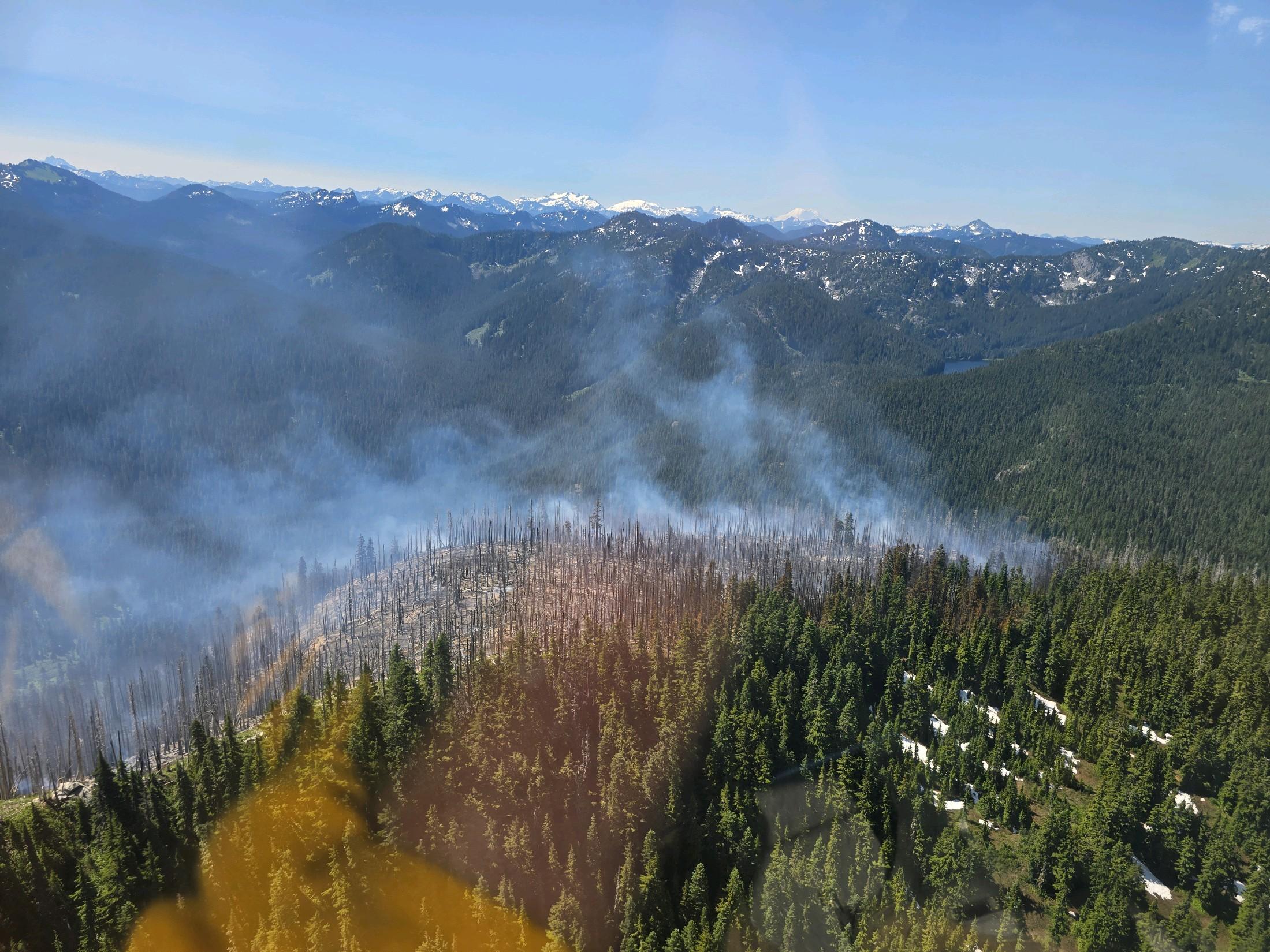 Shoofly Fire hillside photo