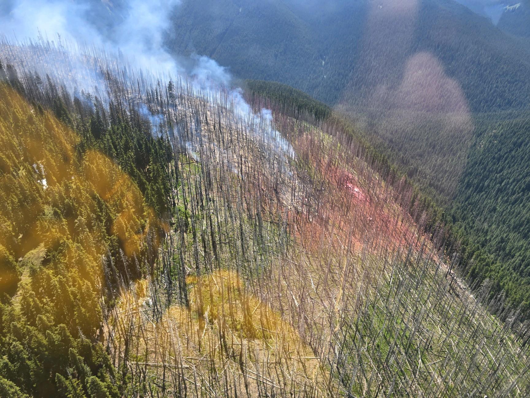 Shoofly Fire hillside photo