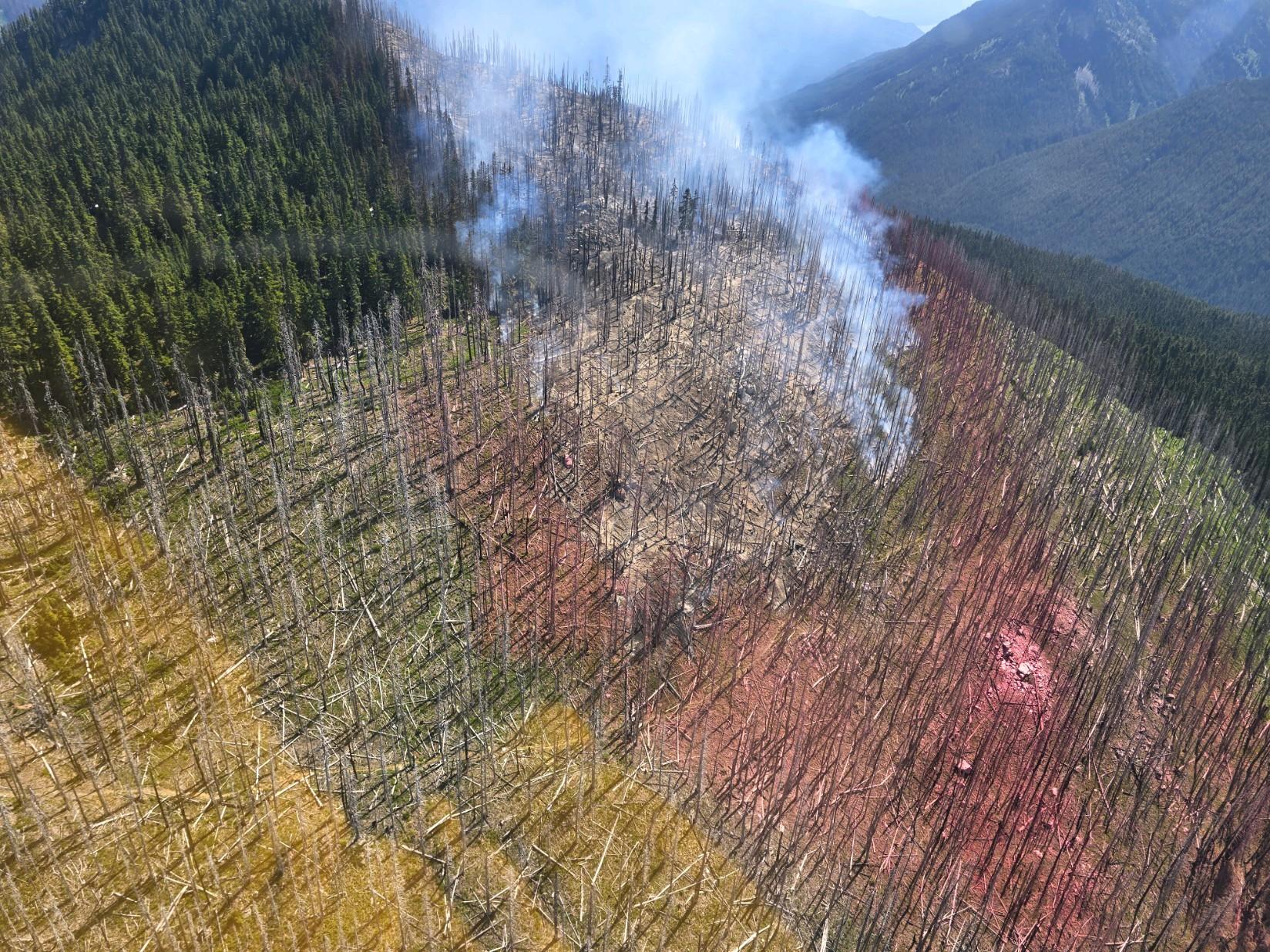Shoofly Fire hillside photo