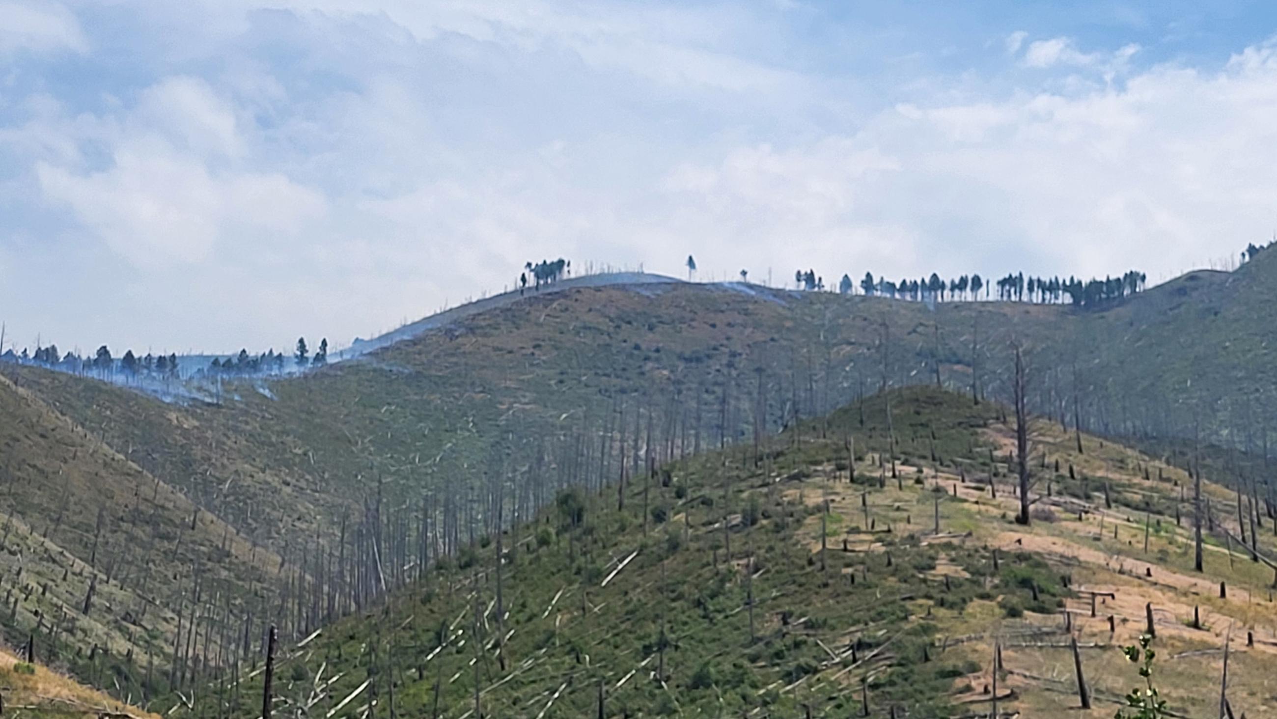 Landscape view of mountains and vegetation in an old burn scar with smoke from a wildfire in the background.