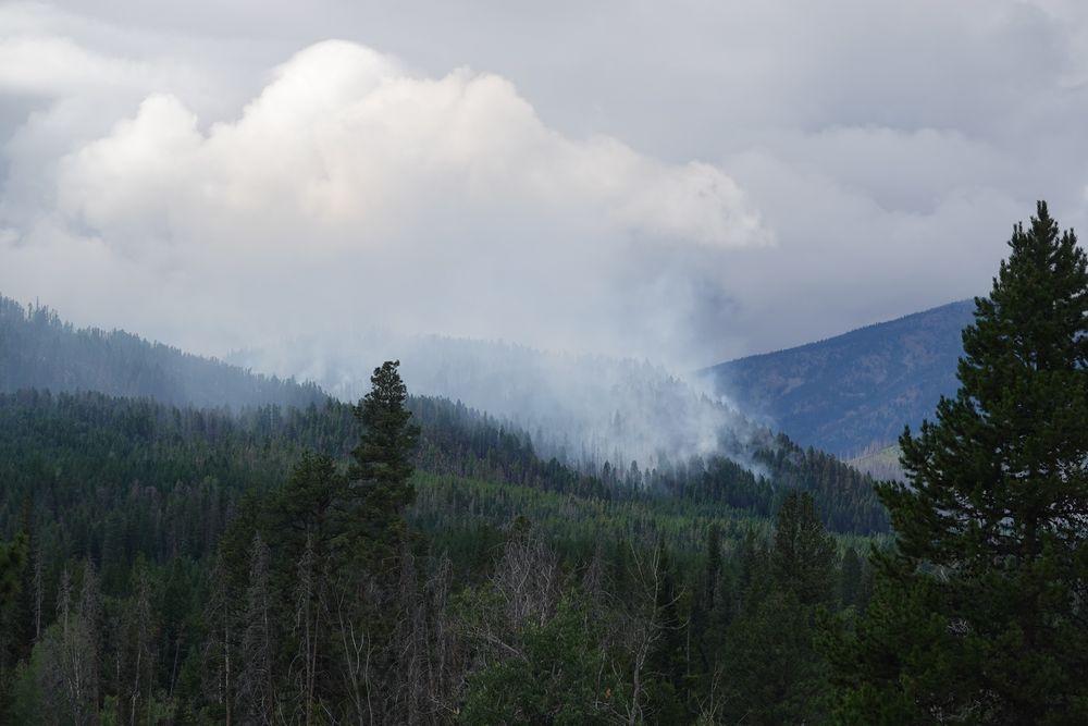 Smoke rising above a forested mountain