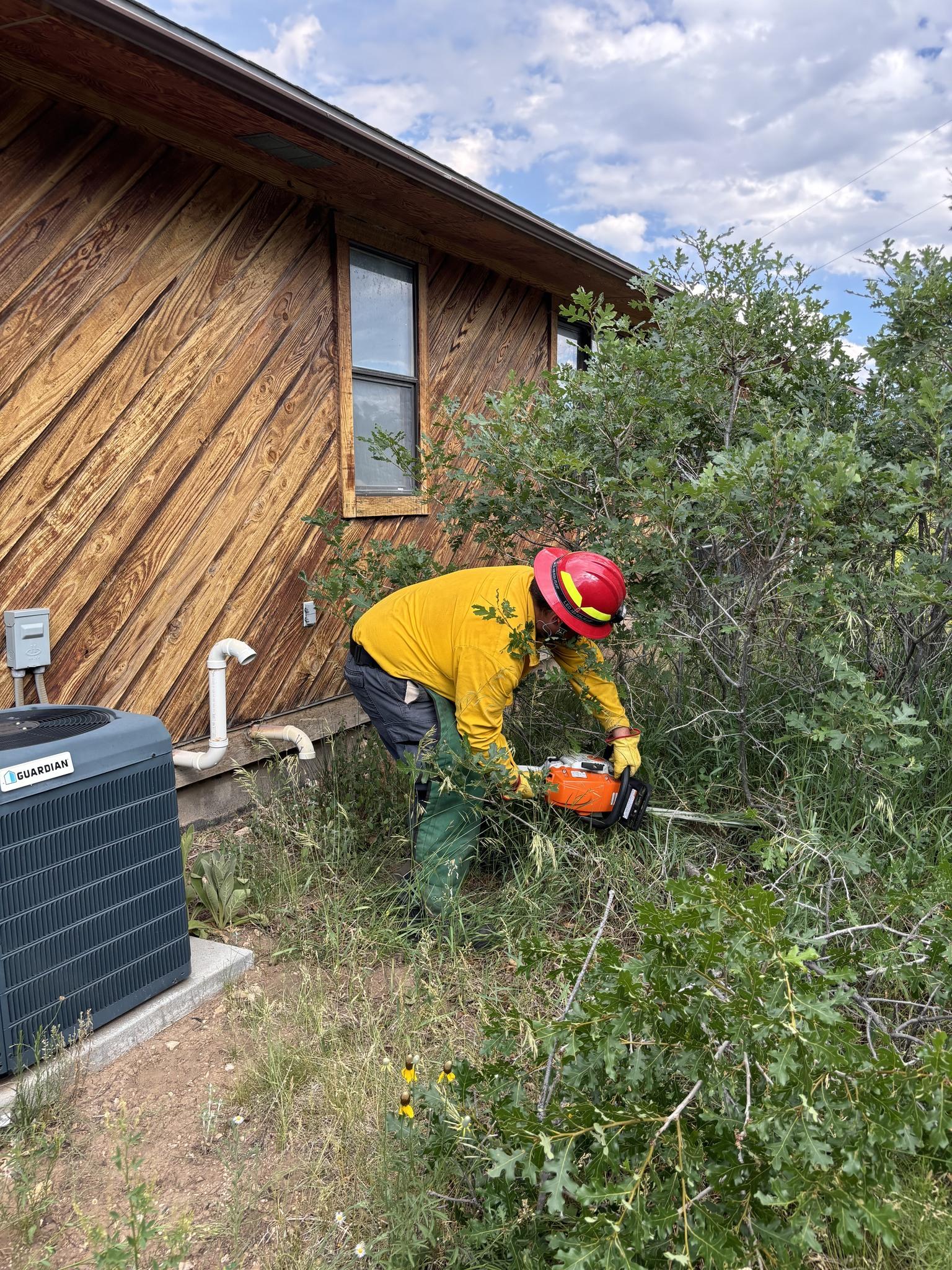 A wood sided building/home is on the left side of the photo. Shrubby plants are close next to the building. A firefighter in protective clothing is using a chainsaw to cut away this vegetation that is near the building.