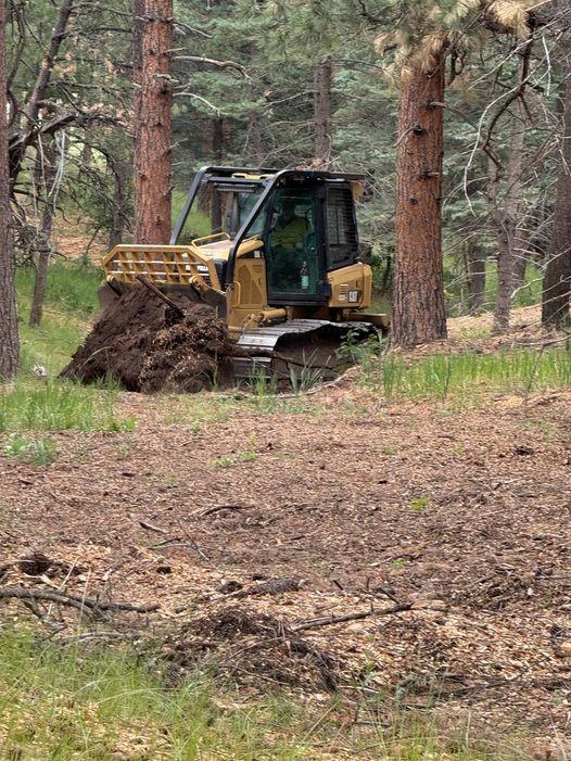 A yellow bulldozer has its blade down on the ground and is pushing dirt to make a contingency line on the Oak Ridge Fire. Behind it are several tall pine trees. 