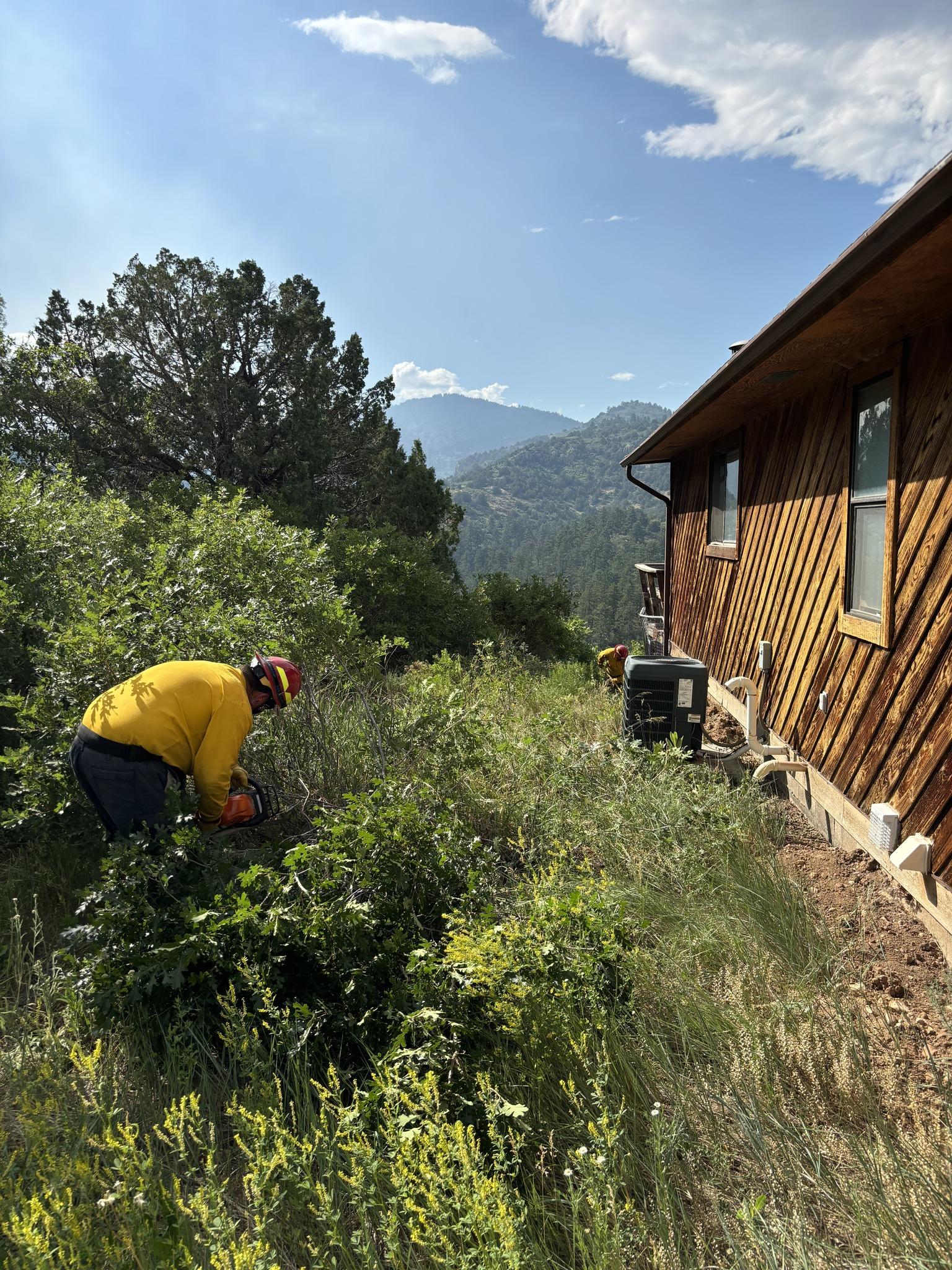 A wood sided building/home is on the right side of the photo. A firefighter in protective clothing is to the left of the building, using a chainsaw to cut vegetation and make the space more defensible against fire. 