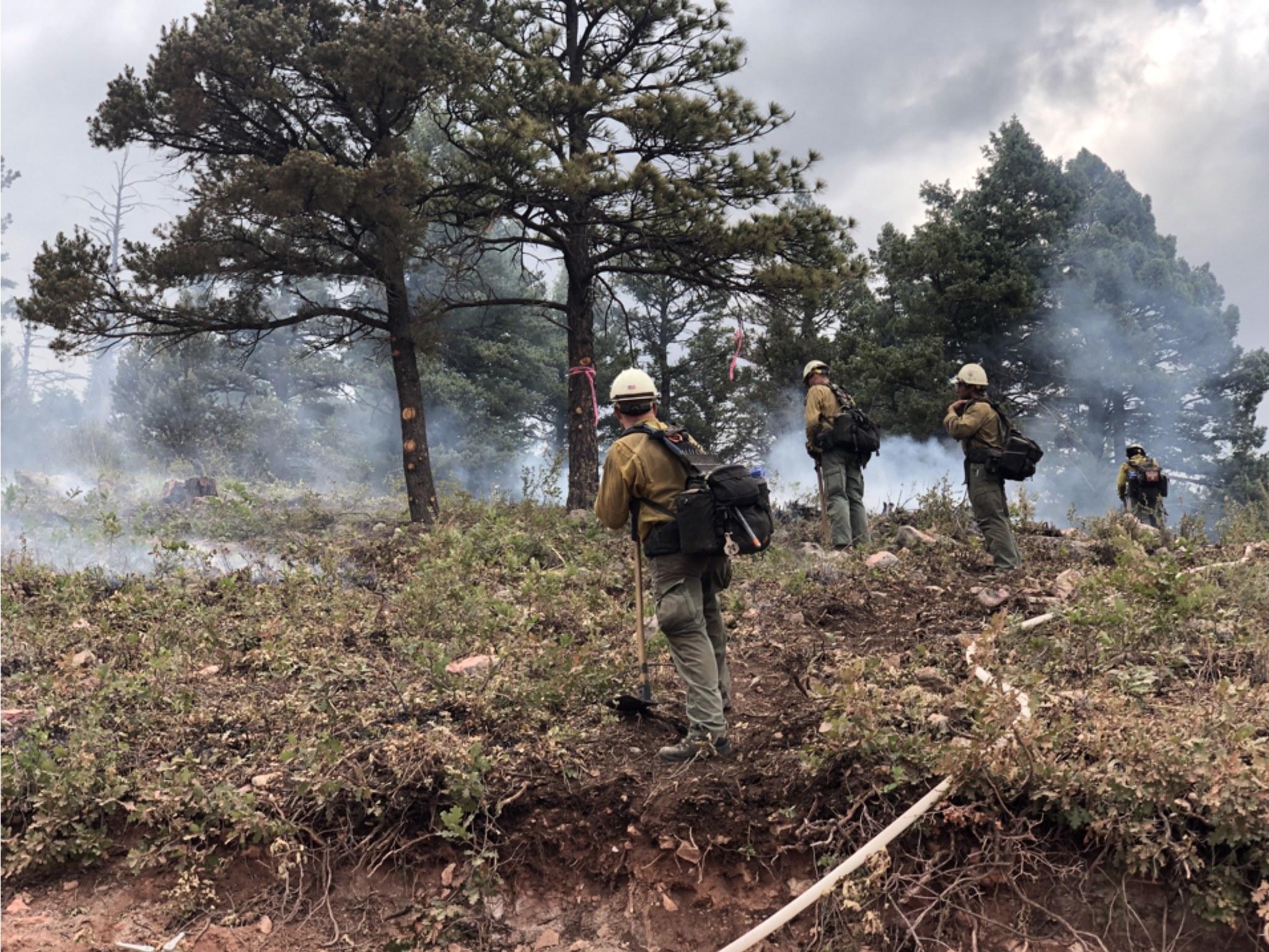 Several firefighters in protective gear are seen in the back of the photo. They have used drip torches to light line. A white water hose is in the bottom right of the photo, and mature pine trees are in the very back of the photo.