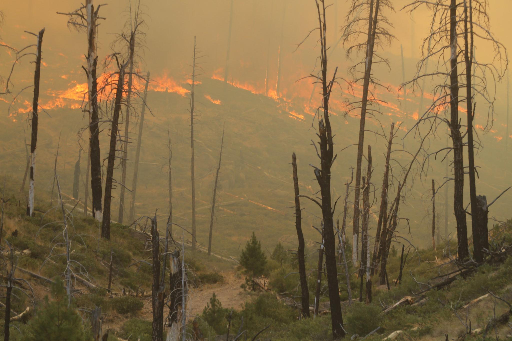 Falls Fire eats into a preexisting burn scar from a 2007 wildfire 