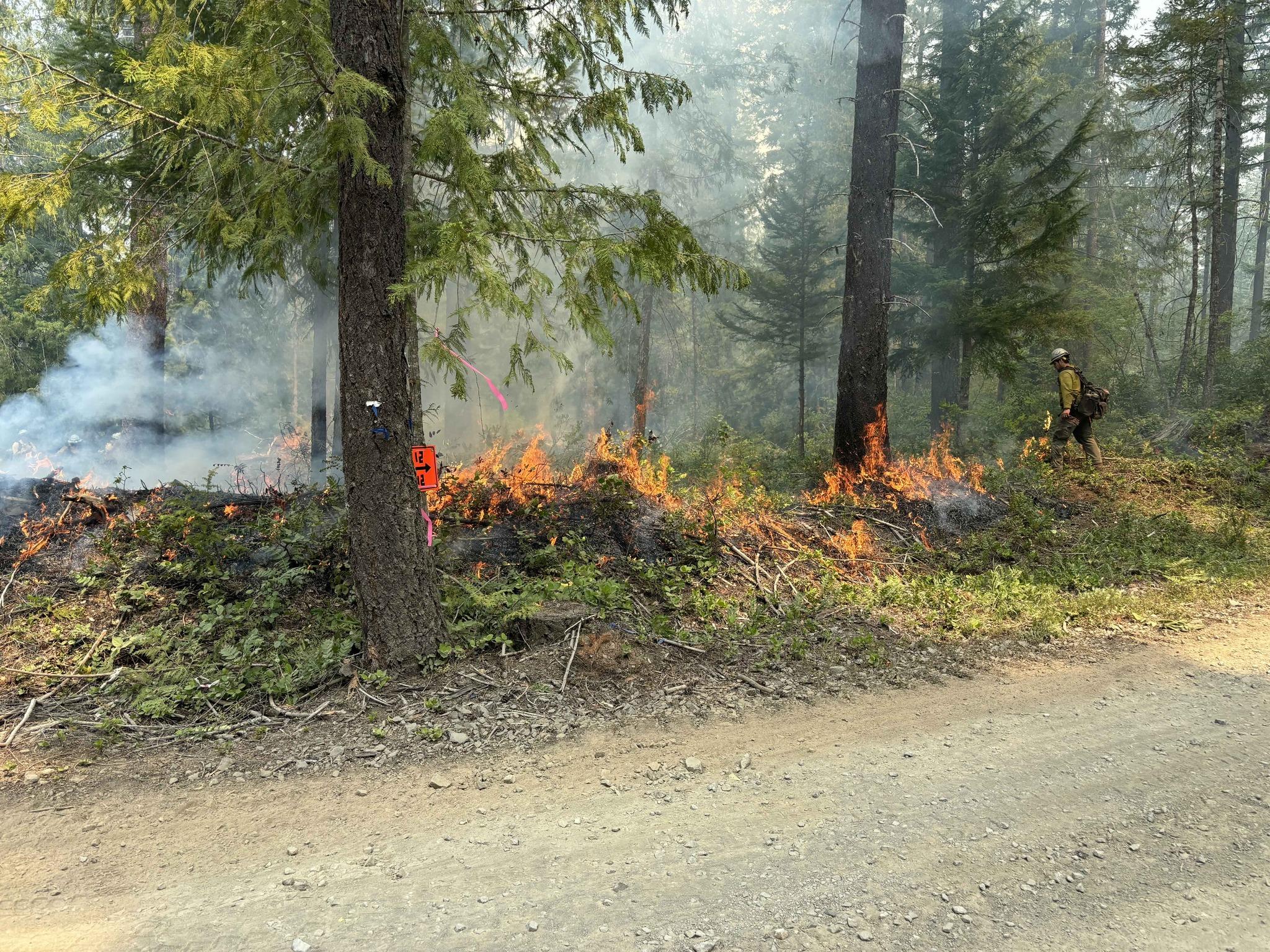 a firefighter walks along a road near flames during a firing operation on the chalk fire