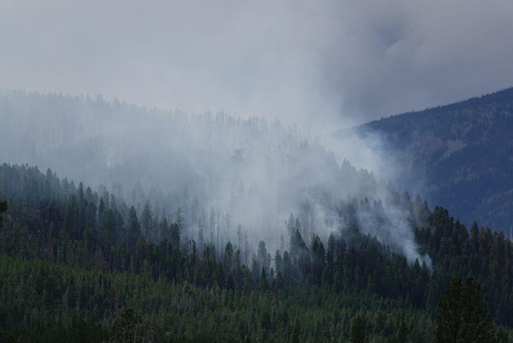 White smoke above a dense, dark forested mountain