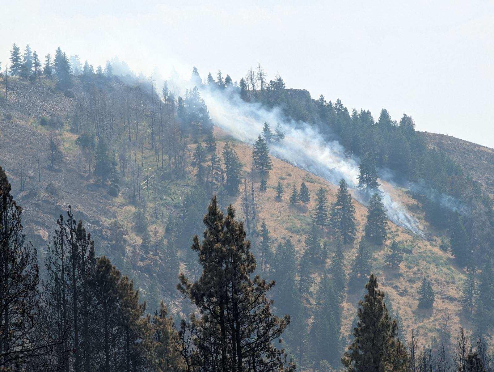 Smoke on a hillside that is moderatly timbered. 