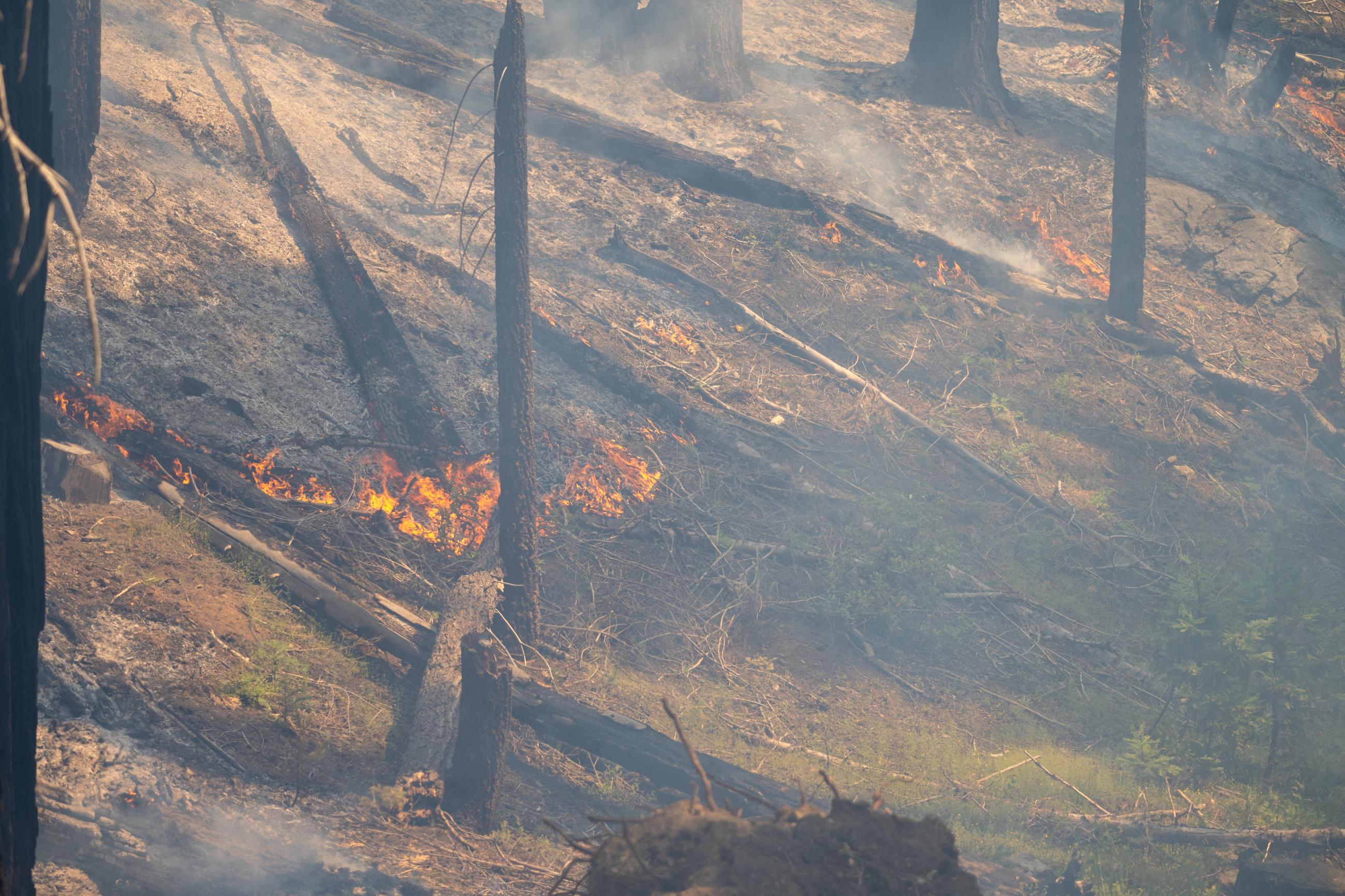 The Sheering Fire continues to burn slowly, while creeping and consuming ground fuels on July 5th.