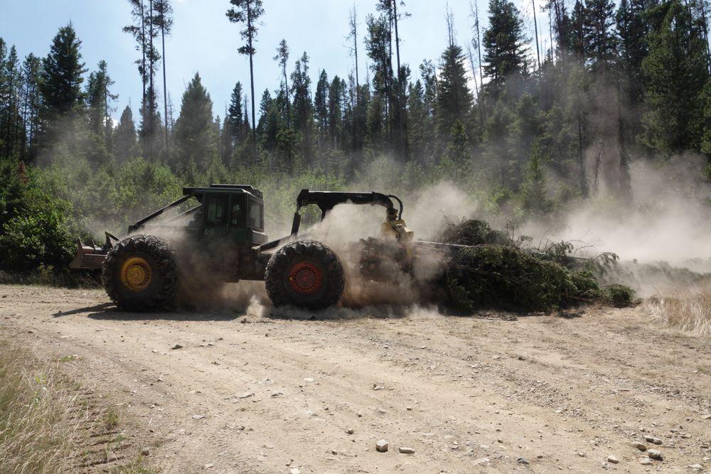 Heavy equipment dragging downed pine trees from a trail to a road, kicking up a large dust cloud